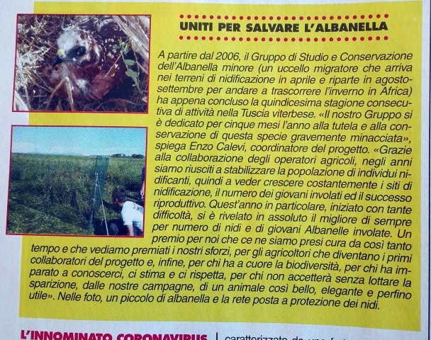 albanelleSalvate1sett2020